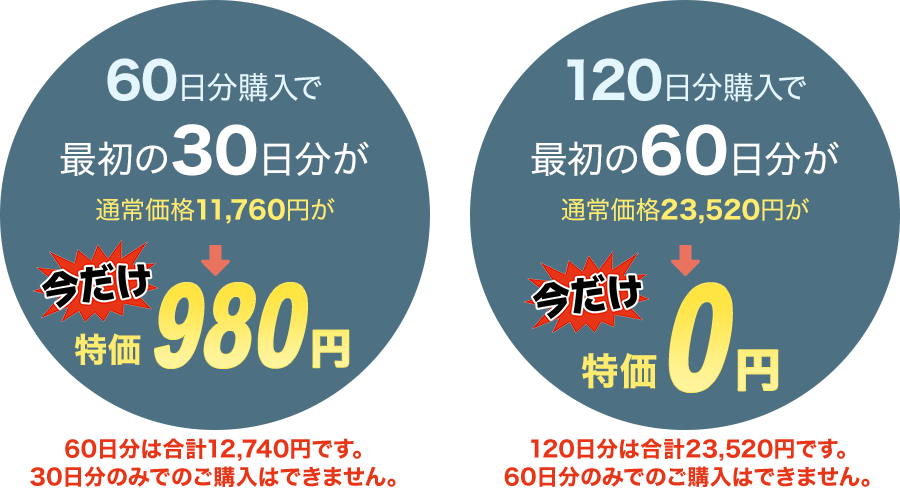 期間限定の特別価格セール